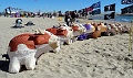 DSC05358