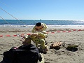 DSC05377