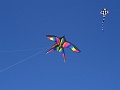 DSC05405