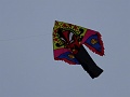 DSC05448