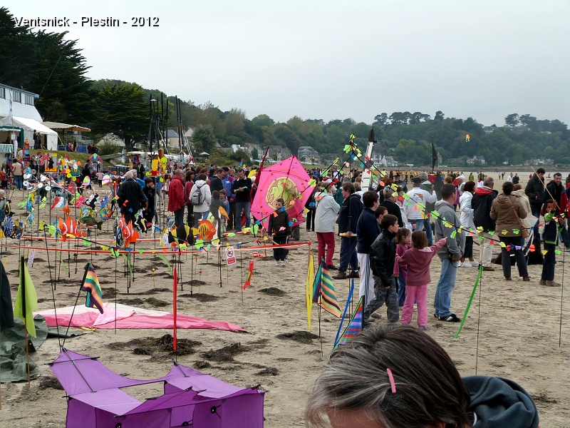P1020187.JPG - La Fête bat son plein, vient le moment du concours de cerf-volant, le thème retenu : la Bretagne ...