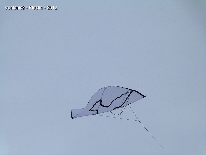 P1020211.JPG - ... cerf-volant de Philippe ...