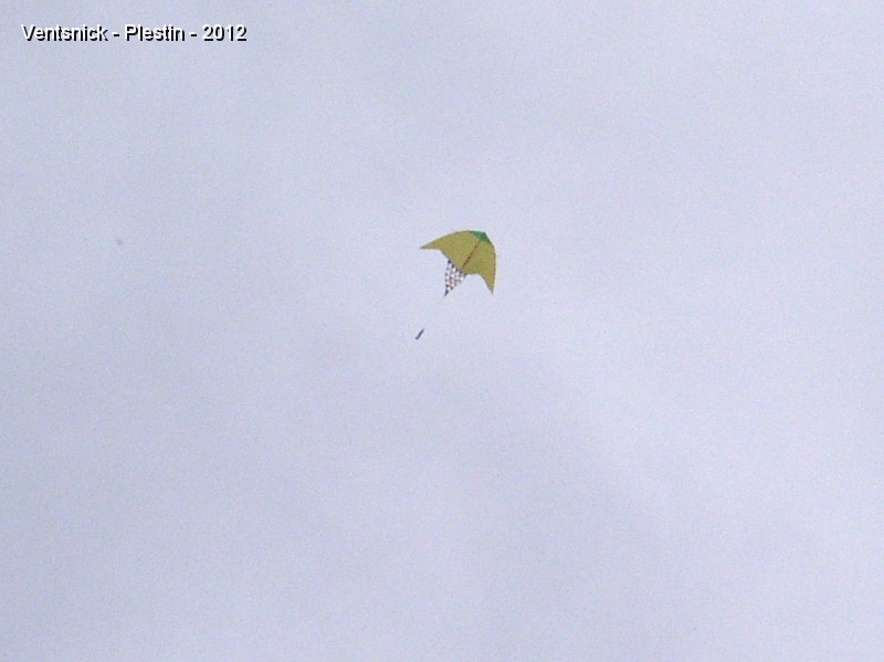 PA060132.JPG - ... un vent de terre souffle assez fort, passé les turbulences, il devient possible de voler, ici un cerf-volant de ...