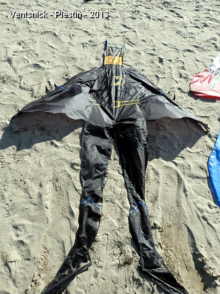 P1070424.jpg - ... le "Batman" de Marc et Sophie ...