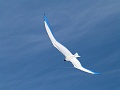 P1070248