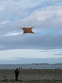 P1070294