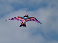 P1070353
