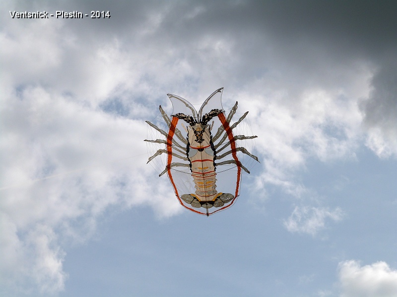 P1110457.JPG - ... puis décore le ciel de Plestin avec sa langouste.