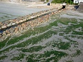 P1200887