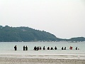 P1150978