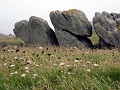 DSC05801