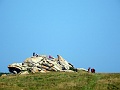 DSC05875