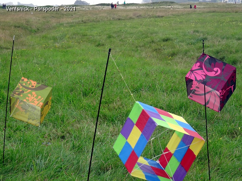 DSC05836.JPG - Nicolas Mélisson propose des cubes qui s'agitent dans le vent en bout de tiges plantées dans le sol.