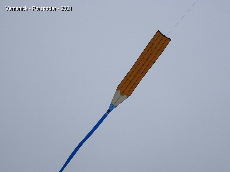 DSC05837.JPG - ... de nos cerfs-volants ...
