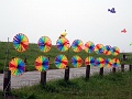 DSC05770
