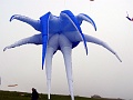 DSC05786