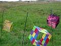 DSC05836
