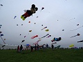 DSC05840