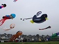 DSC05841