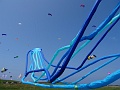 DSC05883