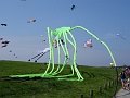 DSC05890