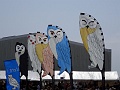 DSC05895