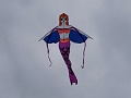 DSC05900