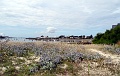 DSC02425