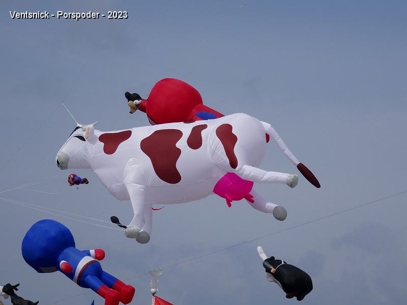 DSC02489.JPG - Une vache suisse ?  Oui : celle de Gérard et Nicole Brun !