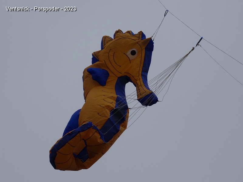 DSC02542.JPG - ... nos Hippocampes décorent sa ligne.