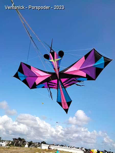 Insecte.jpg - Le groupe "Icare encore" profite de la petite brise du vendredi pour sortir cet insecte : un cerf volant en structure bambou et fibre de verre de 3,5 m de haut pour une envergure de 7m ! (Photo de Christian.Stolz du Club Icare encore)