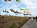 DSC02451