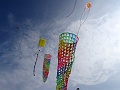 DSC02460