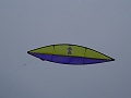 DSC02502