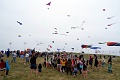 DSC02506