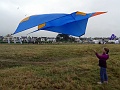 DSC02528