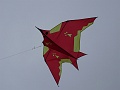 DSC02530