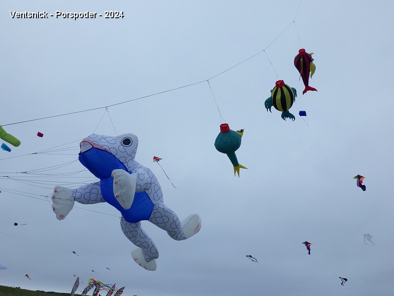 RIMG0710.JPG - ... grenouilles et poissons décorent leurs lignes, leur bol Spider-man bondit sur la prairie, ...