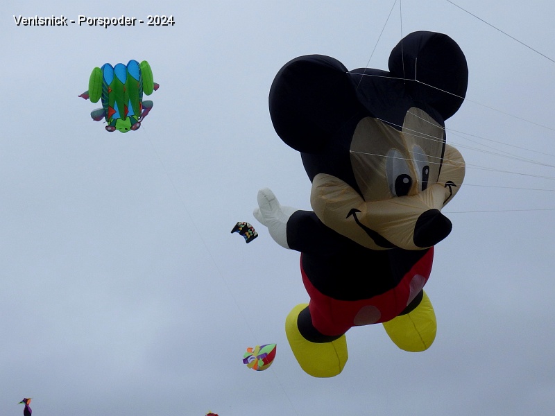 RIMG0713.JPG - Mickey et rainette.