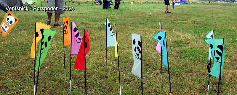 RIMG0731.JPG - Les fanions de Sophie Levesque sont implantés en bord du terrain de démonstration des pilotables.