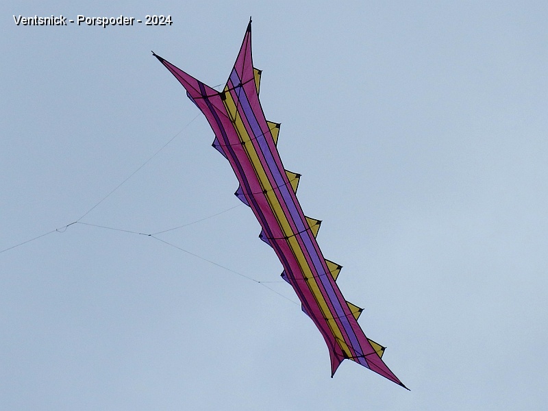 RIMG0738.JPG - Cerf-volant de Brigitte et de Michel Mauguen. Ils sont ici, eux aussi, pour la première fois !