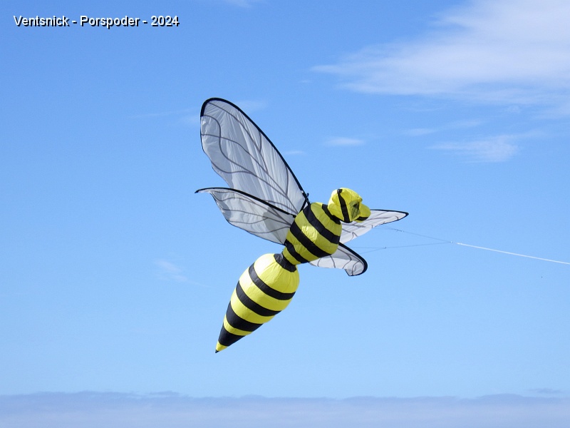 RIMG0782.JPG - Et enfin pour terminer la série des "petits nouveaux" (à notre connaissance), Edwige et Wolfgang Karrer sortent leurs guêpes. Un cerf-volant hybride comportant à la fois des ailes et une structure gonflée par le vent !