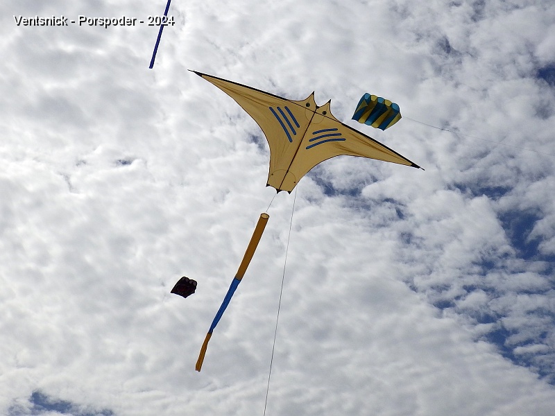 RIMG0793.JPG - ... une raie Manta, ...