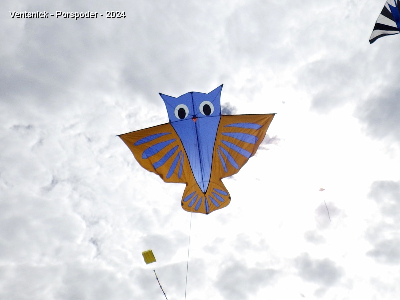 RIMG0799.JPG - ... un Hibou, ...