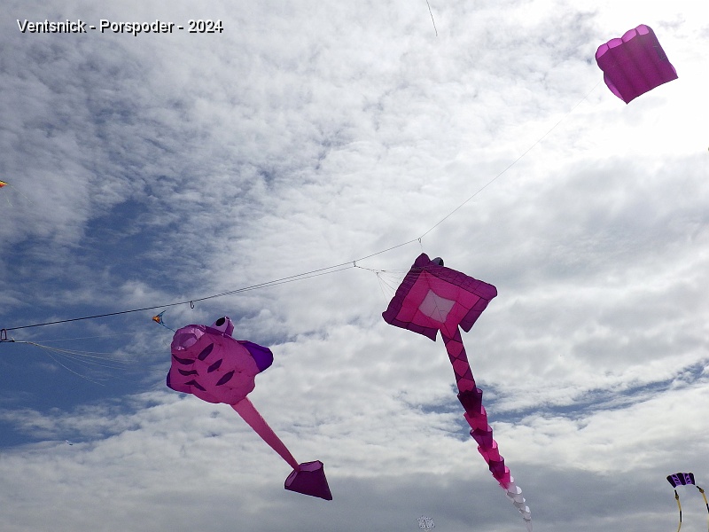 RIMG0801.JPG - Les petites raies d'Isa et d'alain Boutin sont en place, ...