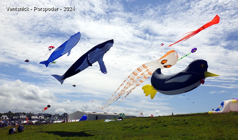 RIMG0826.JPG - Le spectacle est saisissant sous un ciel lumineux et dans l'air purifié par les pluies récentes !
