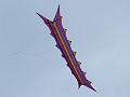 RIMG0738