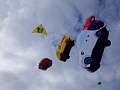 RIMG0775