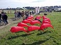 RIMG0784