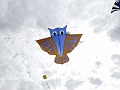 RIMG0799
